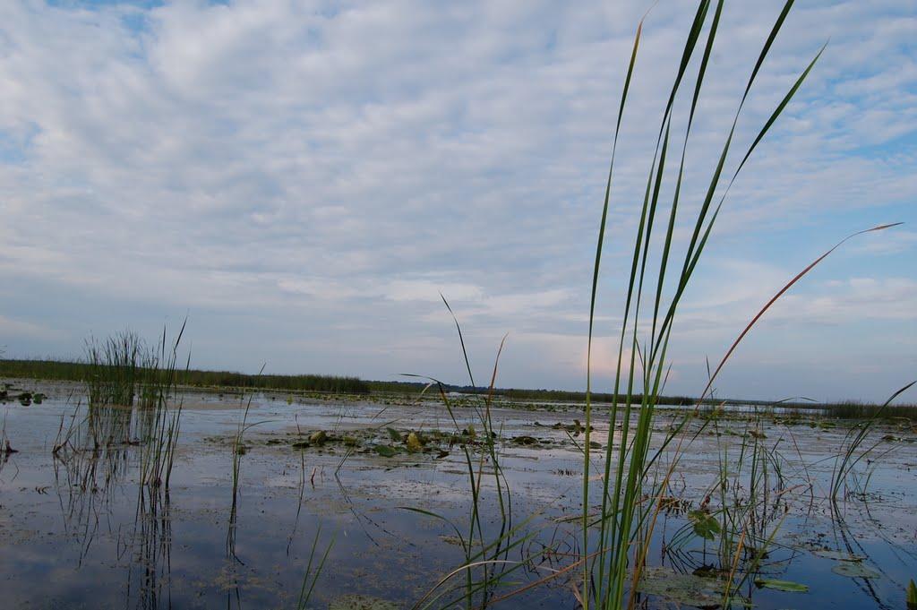 Щитинська Воля з panoramio.com - Щитинська Воля