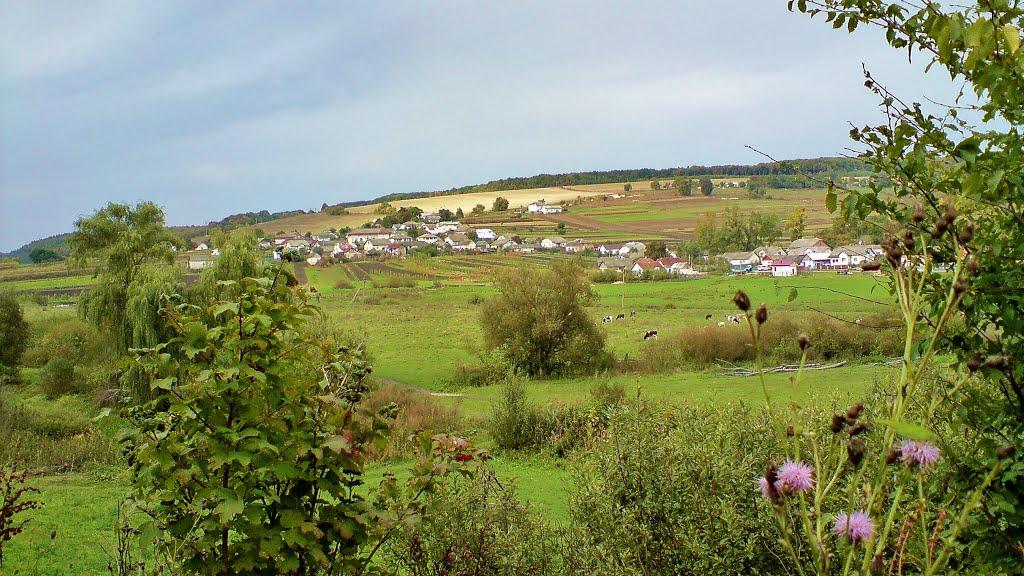 Рогачин з panoramio.com - Рогачин