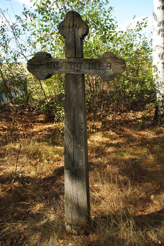 Рейментарівка з panoramio.com - Рейментарівка