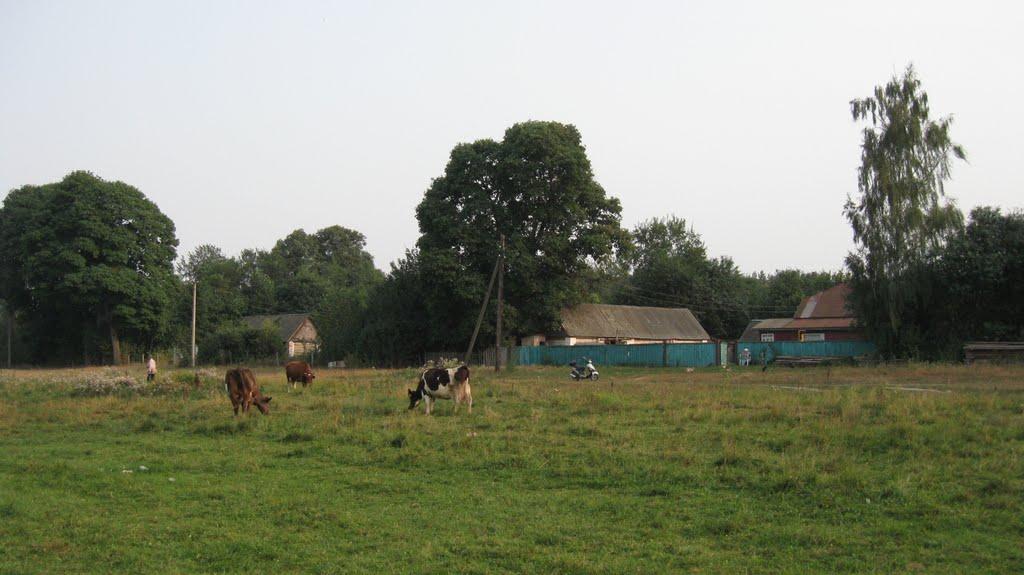 Смичин з panoramio.com - Смичин