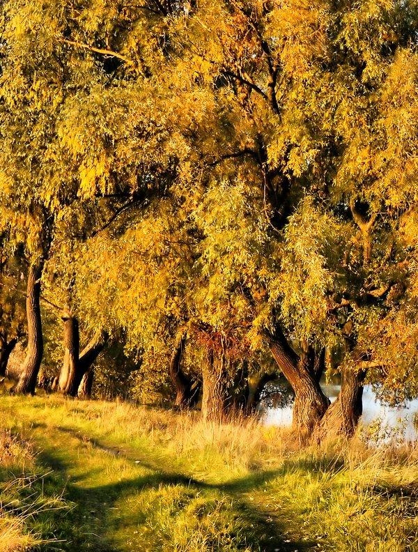 Смолин з panoramio.com - Смолин