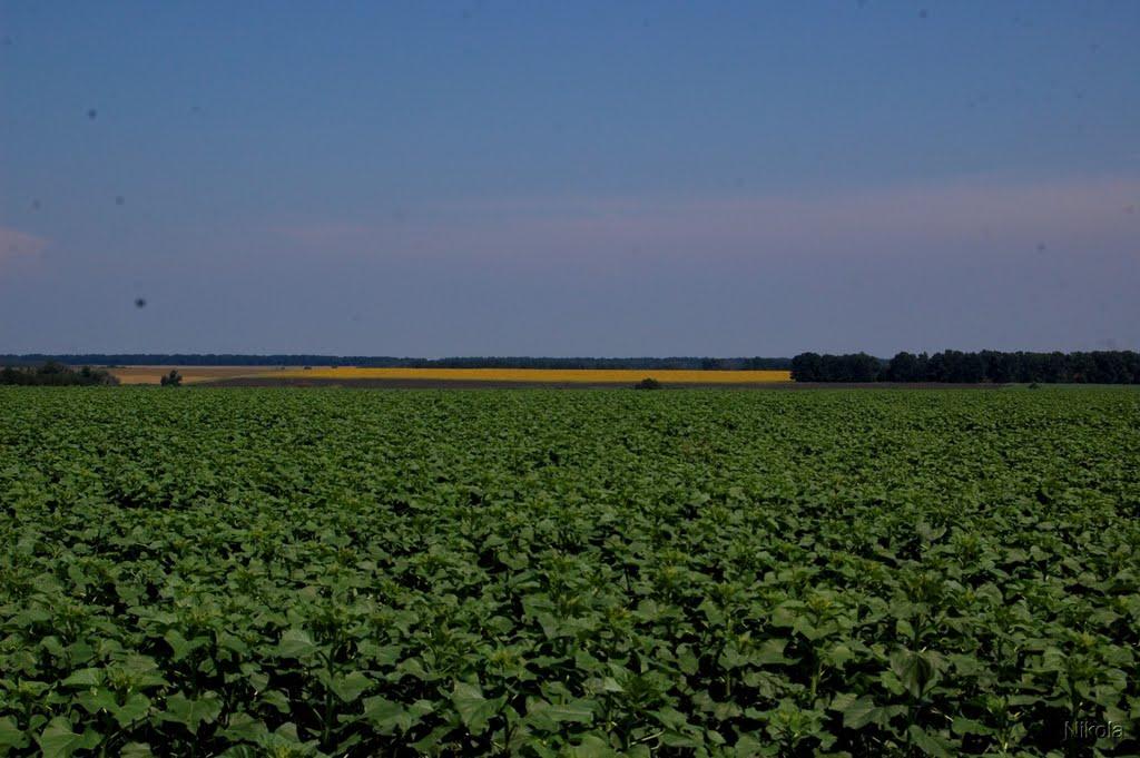 Нижній Суходіл з panoramio.com - Nyzhniy Sukhodil