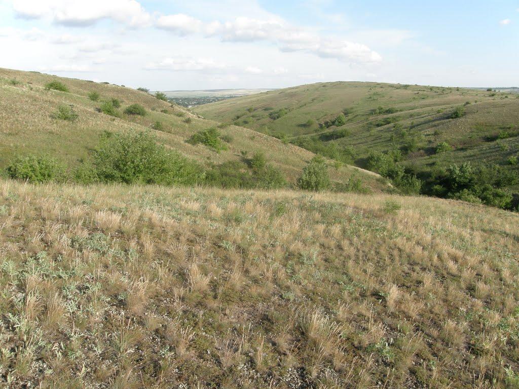 Дякове з panoramio.com - Дякове