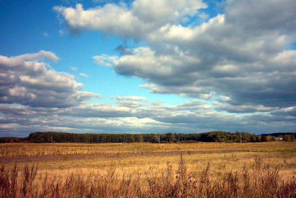 Матіївка з panoramio.com - Матіївка