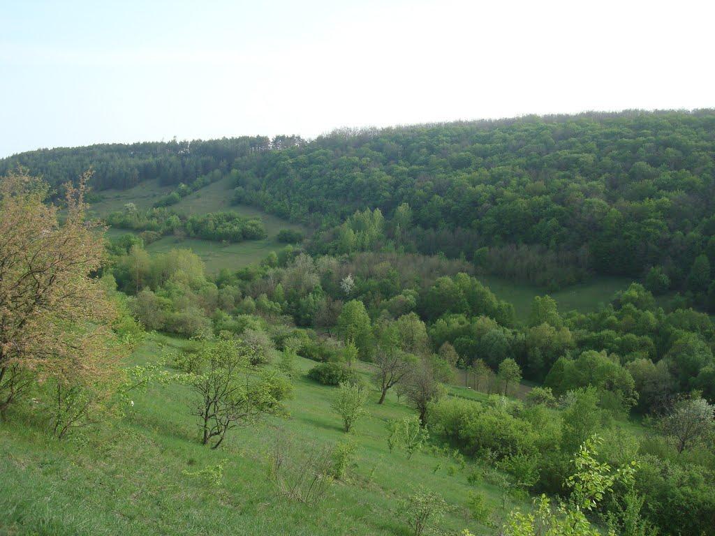 Маціорськ з panoramio.com - Маціорськ