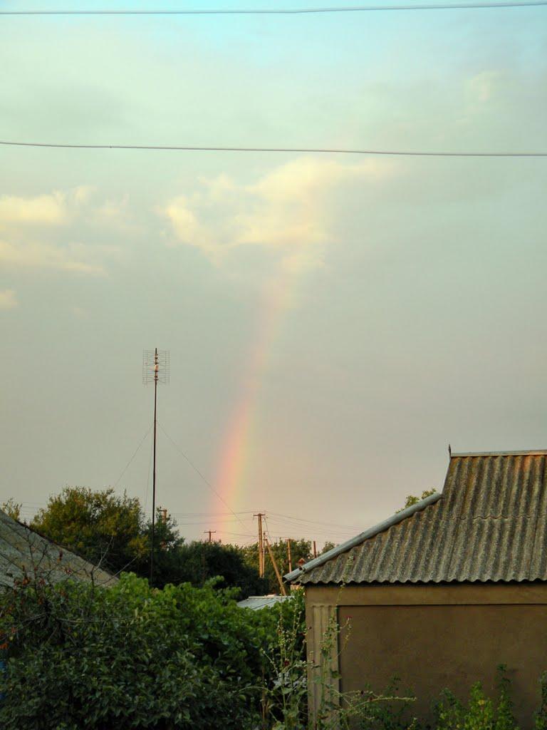 Павлівка з panoramio.com - Павловка