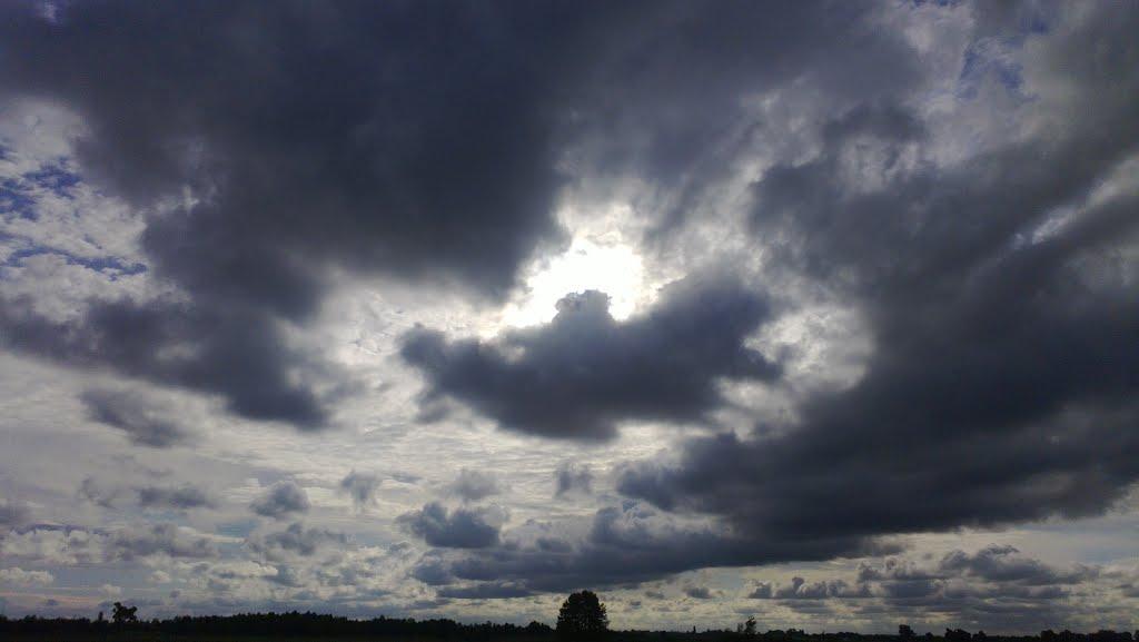 Ольганівка з panoramio.com - Ольганівка