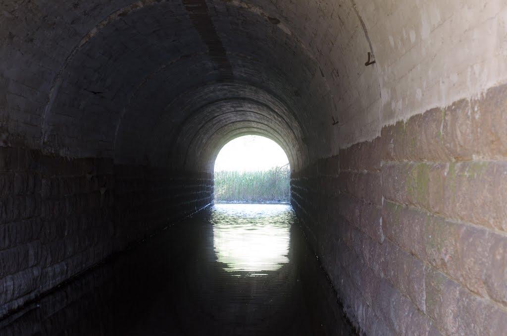 Степне з panoramio.com - Степне