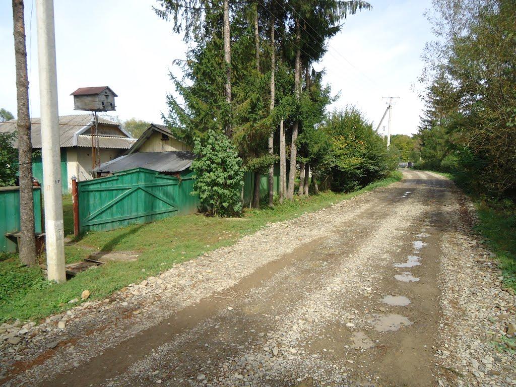 Цуцулин з panoramio.com - Цуцулин