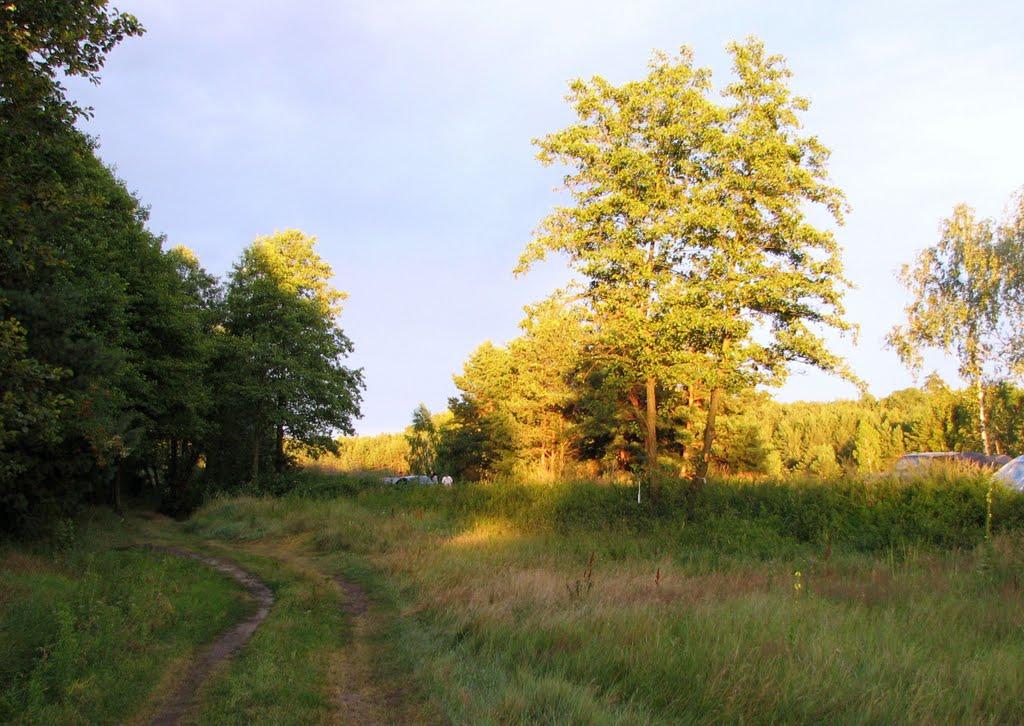 Стригани з panoramio.com - Стриганы