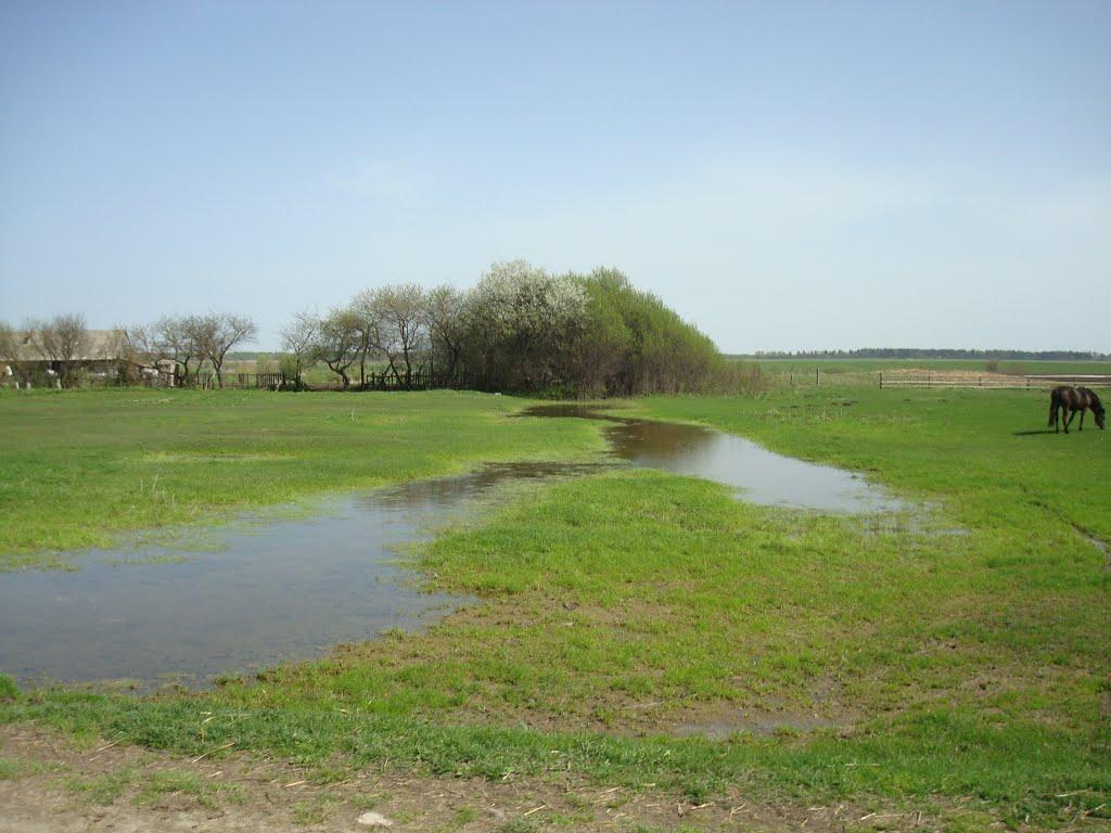 Дроздні з panoramio.com - Дроздні