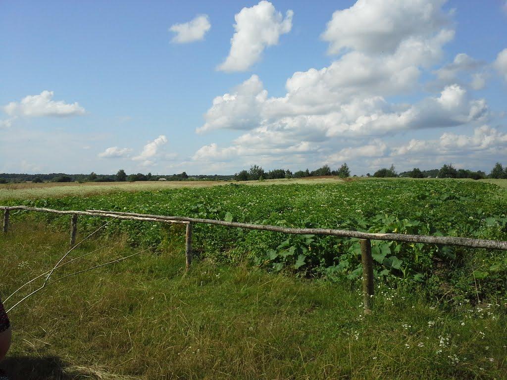 Вирка з panoramio.com - Вырка