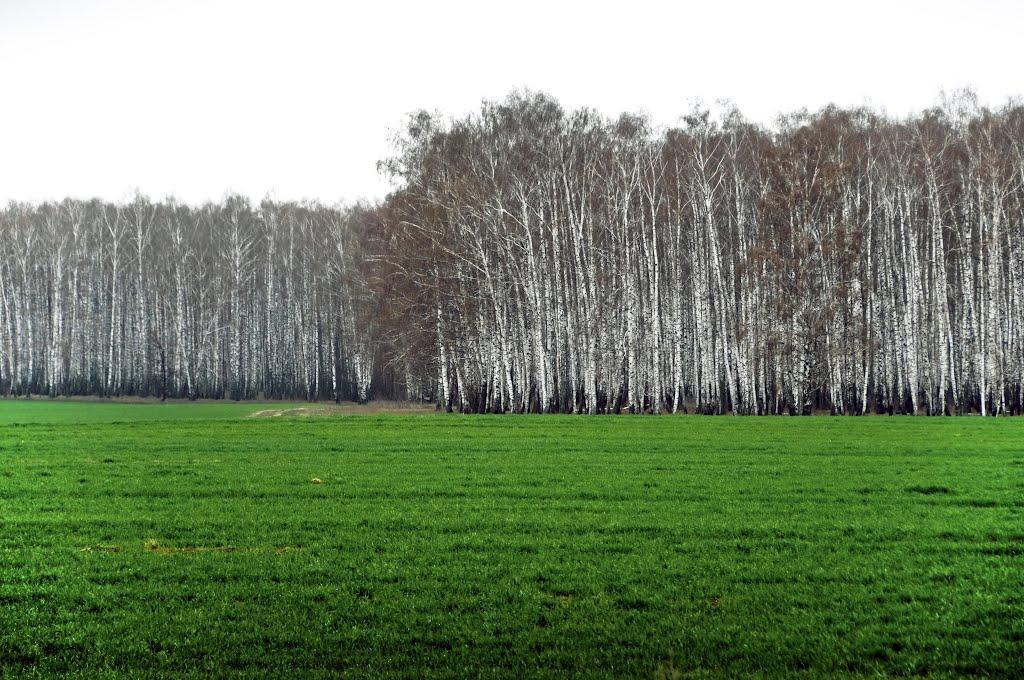 Андріївка з panoramio.com - Andriyivka