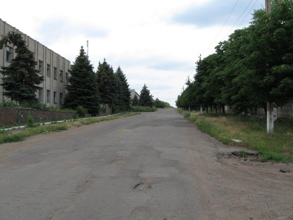 Старогнатівка з panoramio.com - Старогнатівка