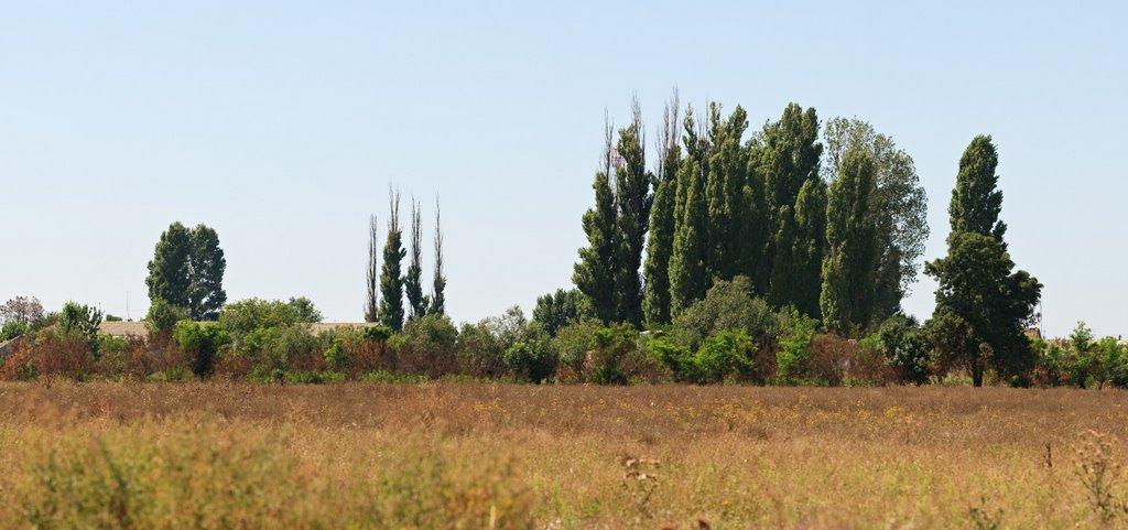Лазурне з panoramio.com - Лазурное