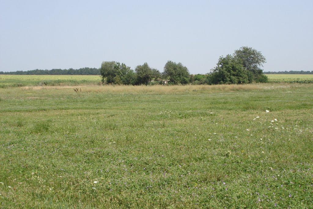 Ленінове з panoramio.com - Лениново