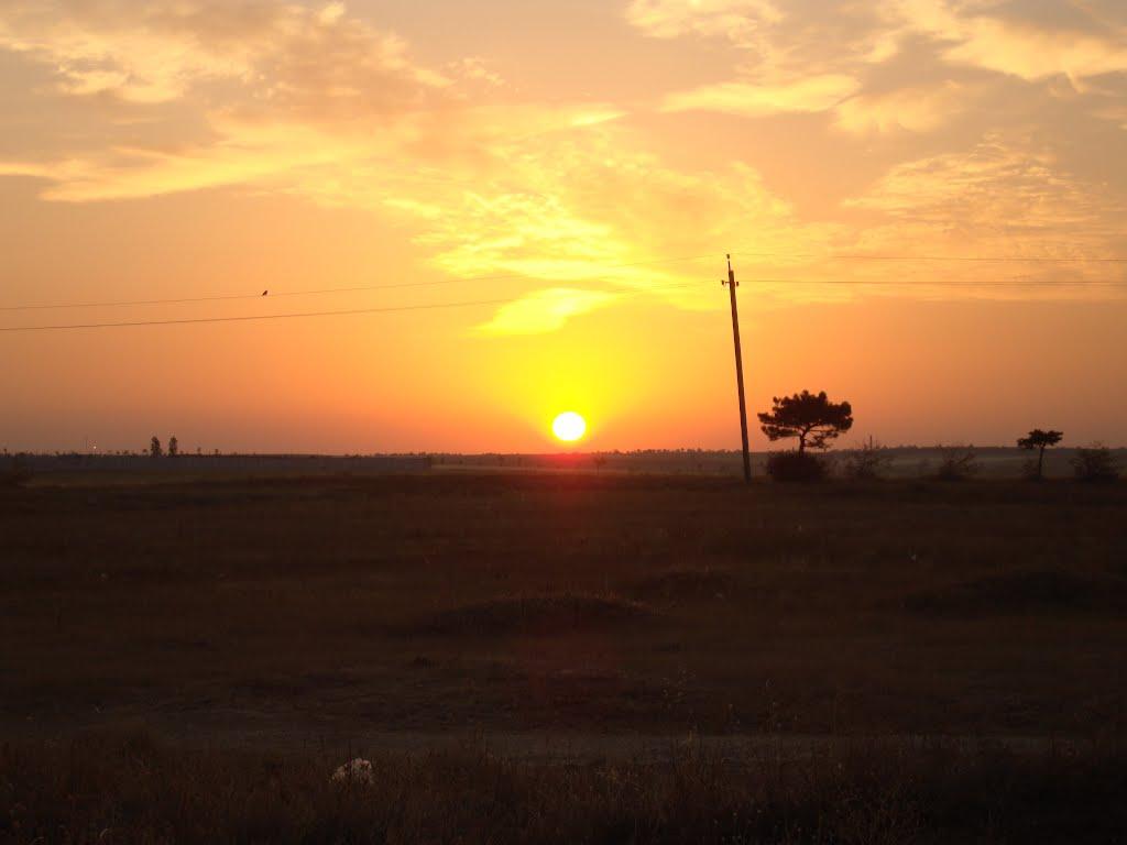 Берегове з panoramio.com - Берегово