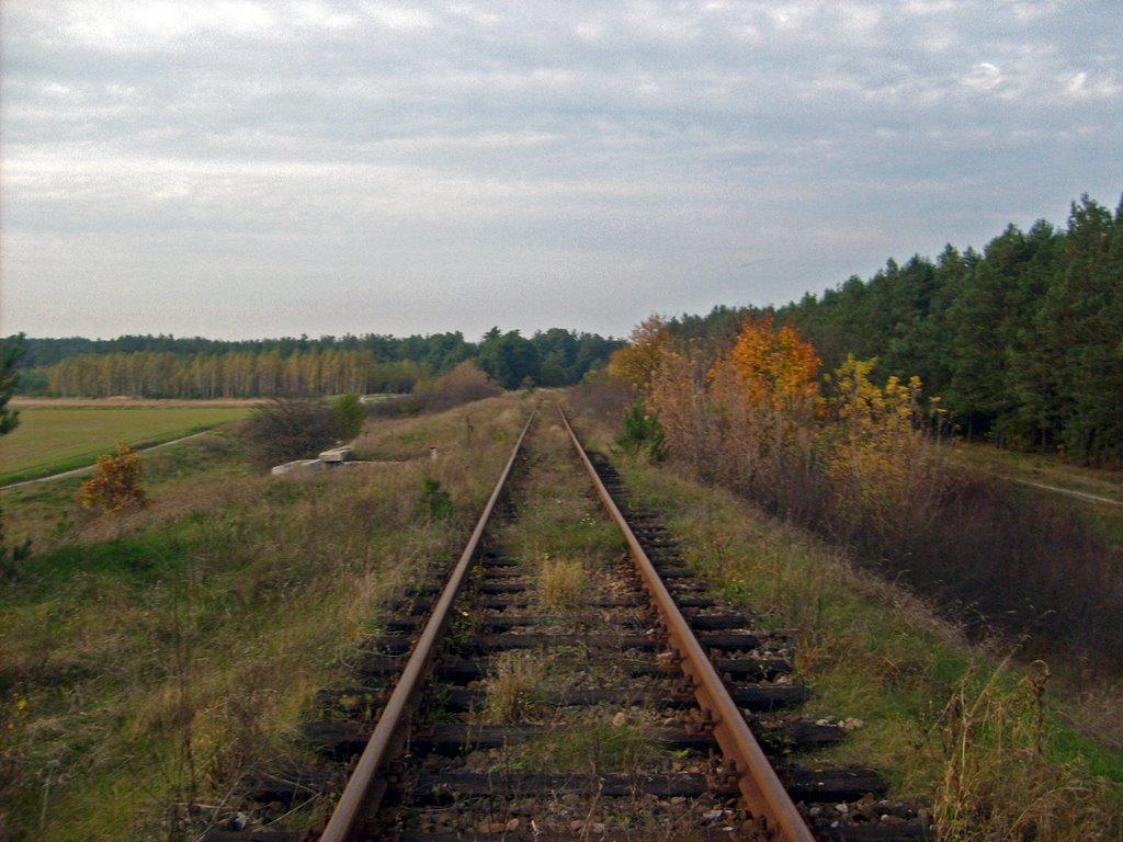Новоугрузьке з panoramio.com - Новоугрузское