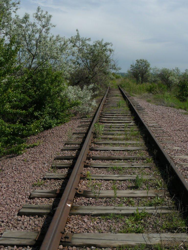 Плавні з panoramio.com - Плавни