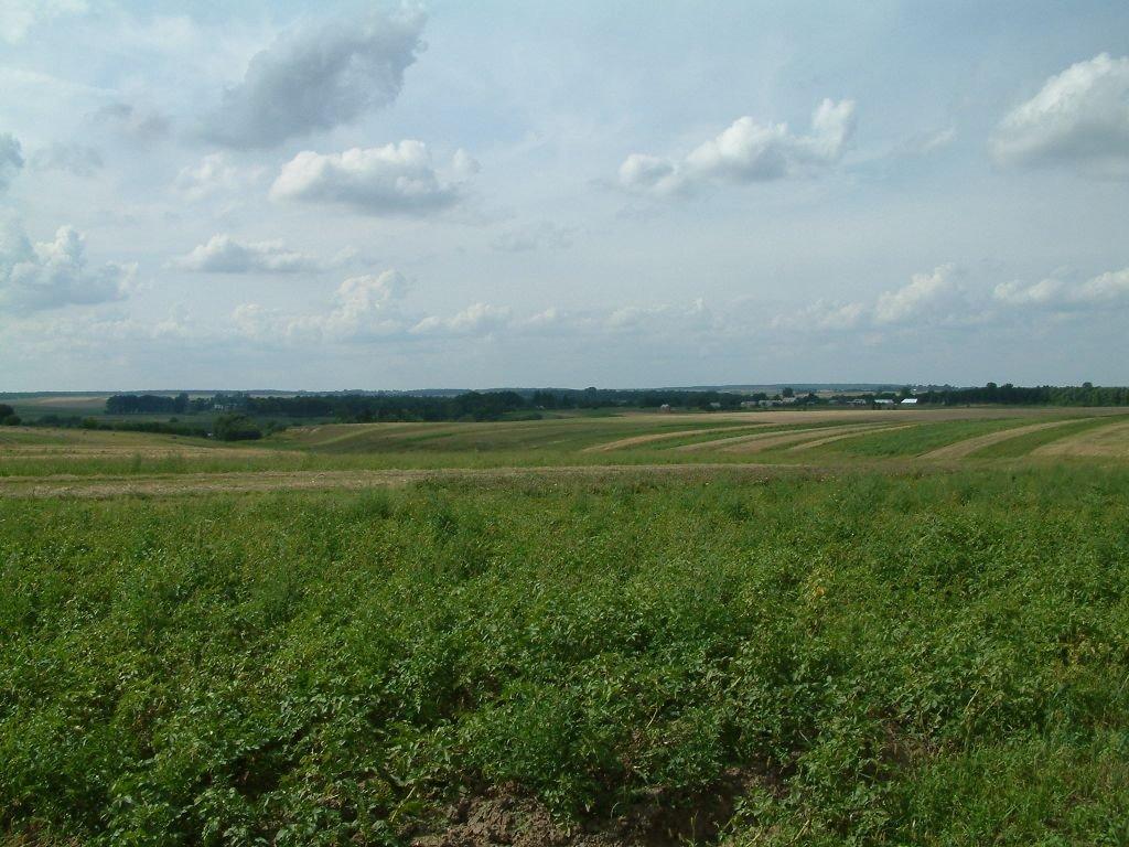 Млинів з panoramio.com - Млинов