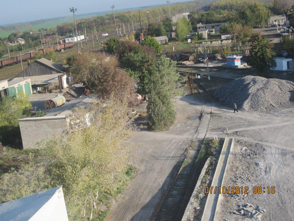 Ольгинка з panoramio.com - Ольгинка