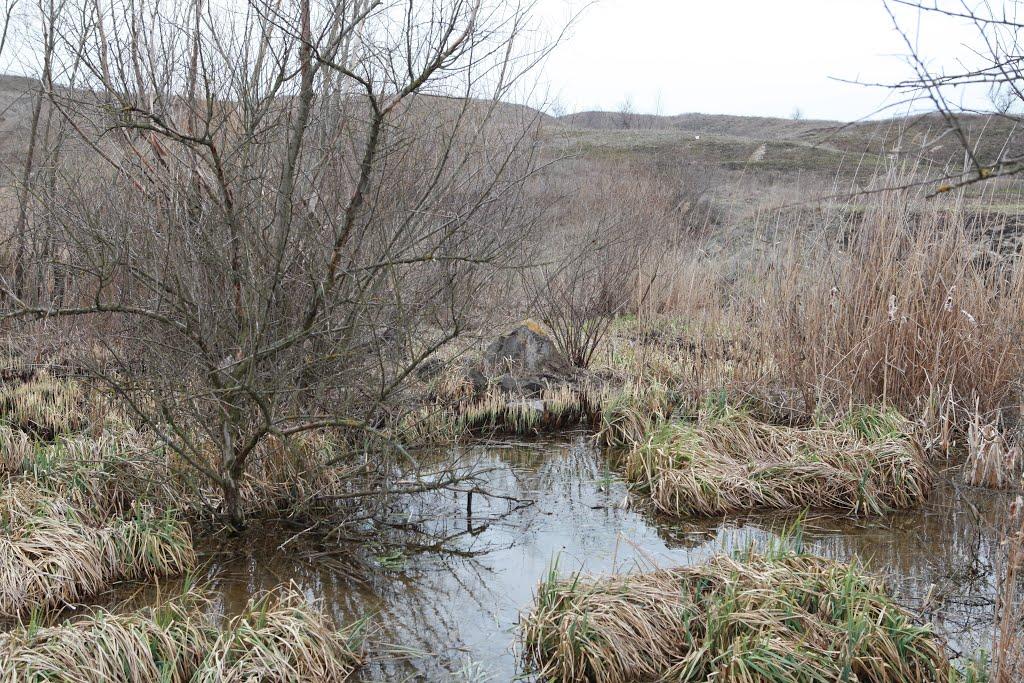 Василівка з panoramio.com - Василівка