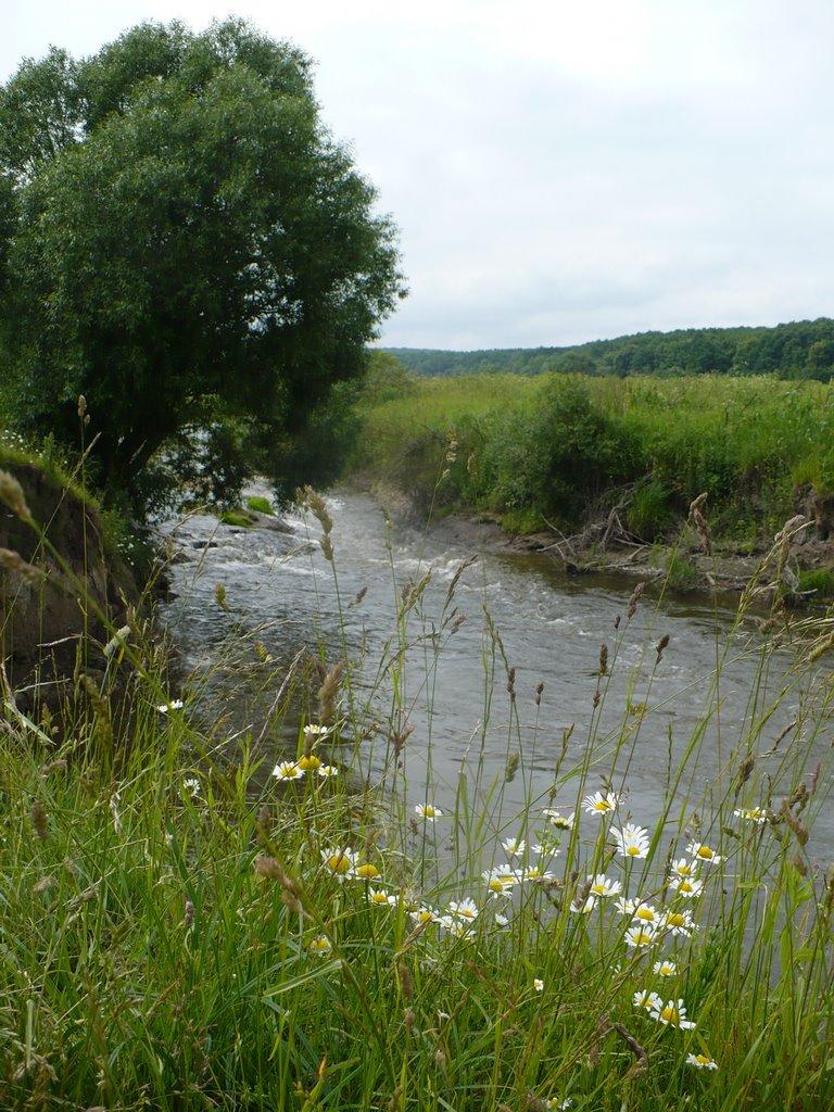 Бруслинів з panoramio.com - Бруслинів