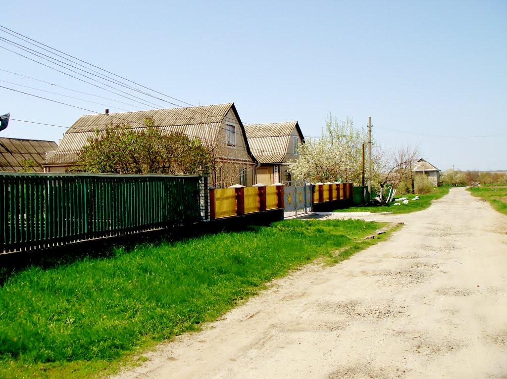 Гудзівка з panoramio.com - Гудзовка