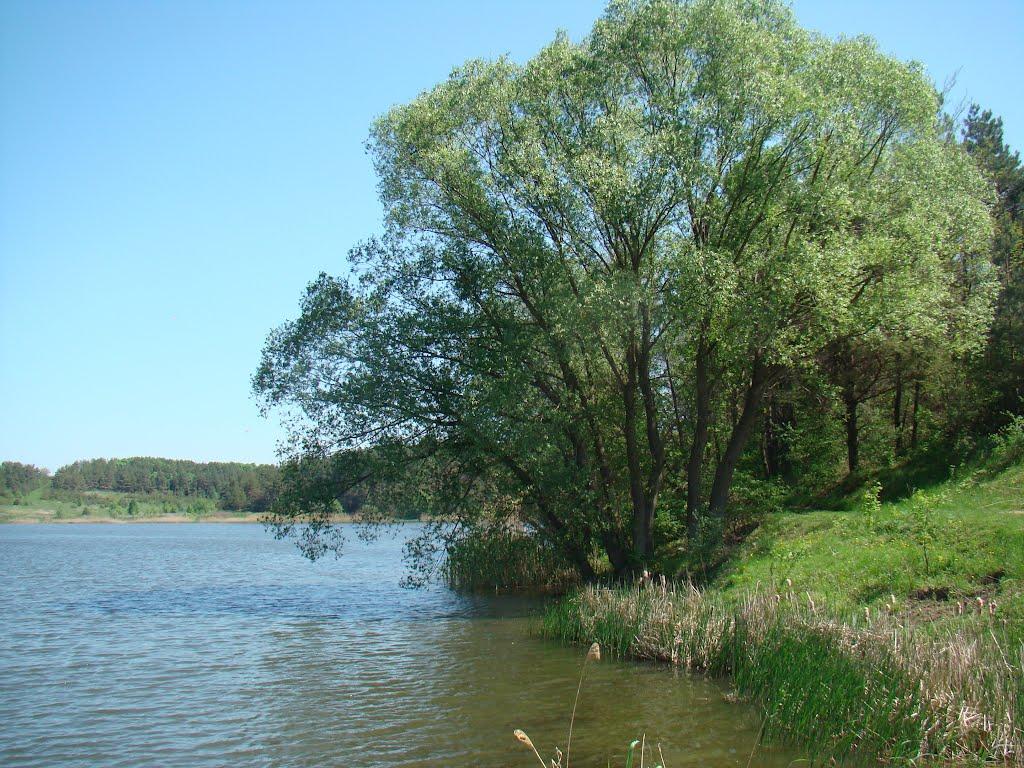 Бурти з panoramio.com - Бурты