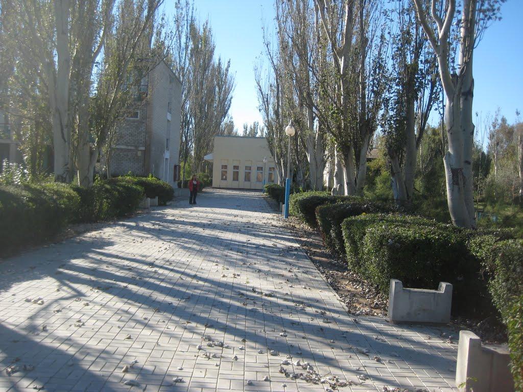 Геніченська Гірка з panoramio.com - Геническая Горка