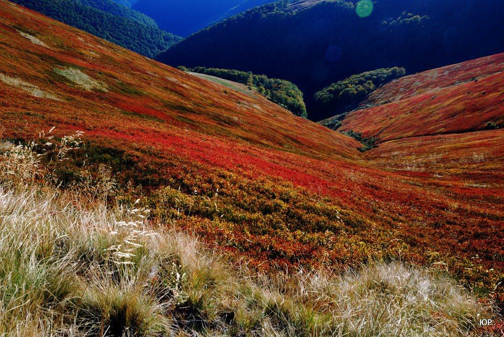 Гукливий з panoramio.com (ч.2) - Гукливий