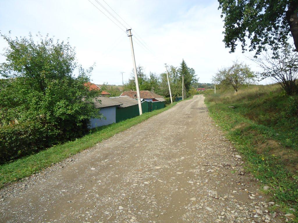 Дебеславці з panoramio.com - Дебеславцы