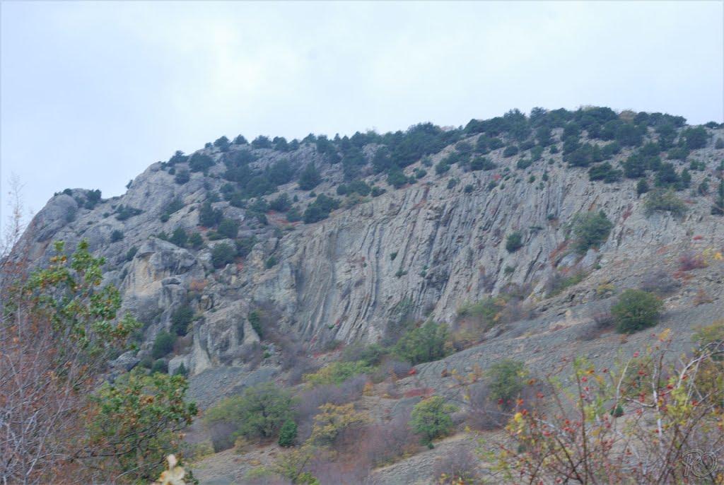 Долина з panoramio.com - Долина