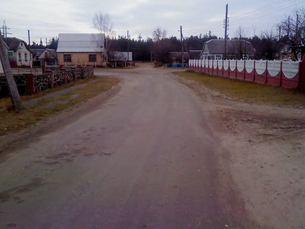 Маневичі з panoramio.com - Маневичи