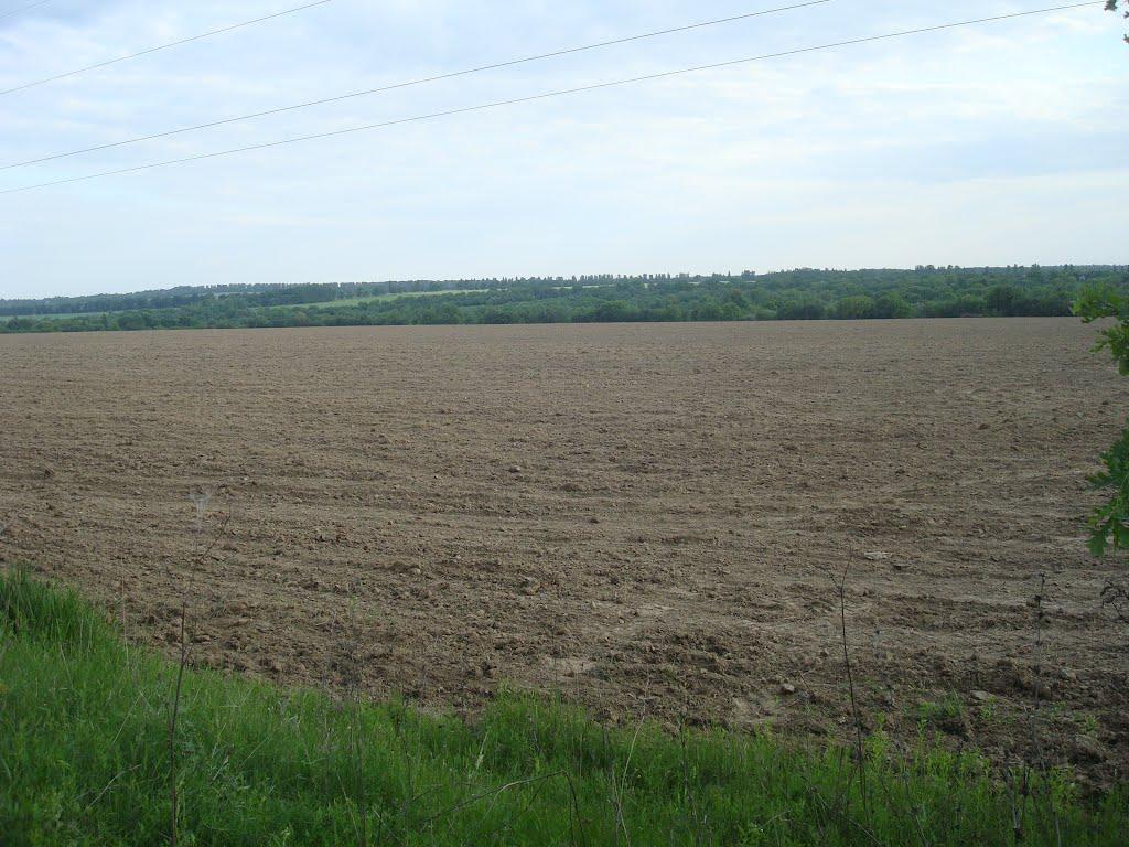 Ставчани з panoramio.com - Ставчаны