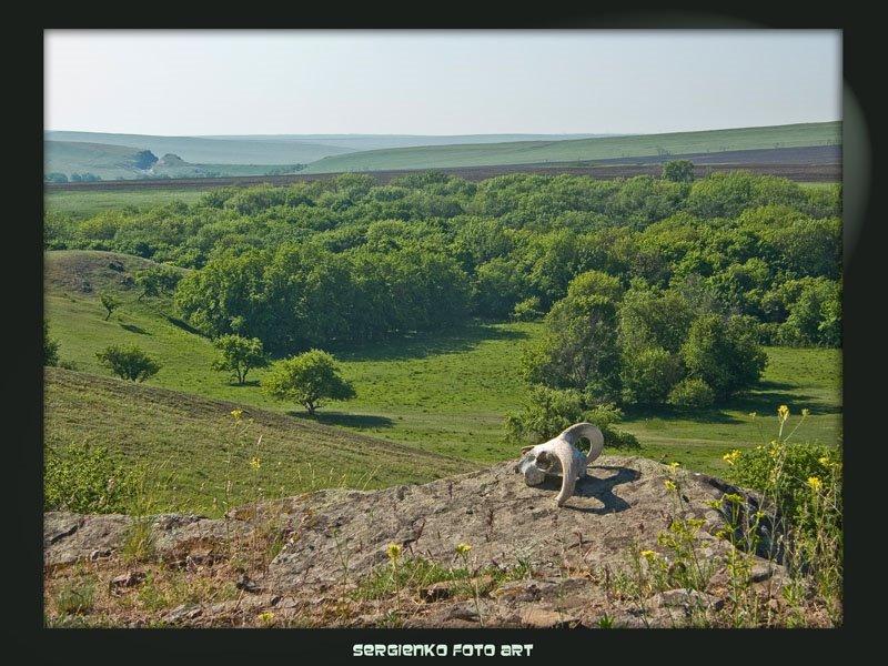 Черемшине з panoramio.com - Черемшино