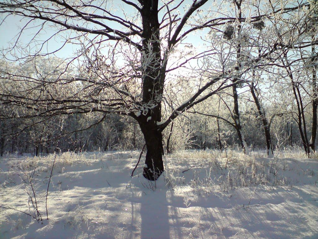 Великі Будища з panoramio.com - Великі Будища