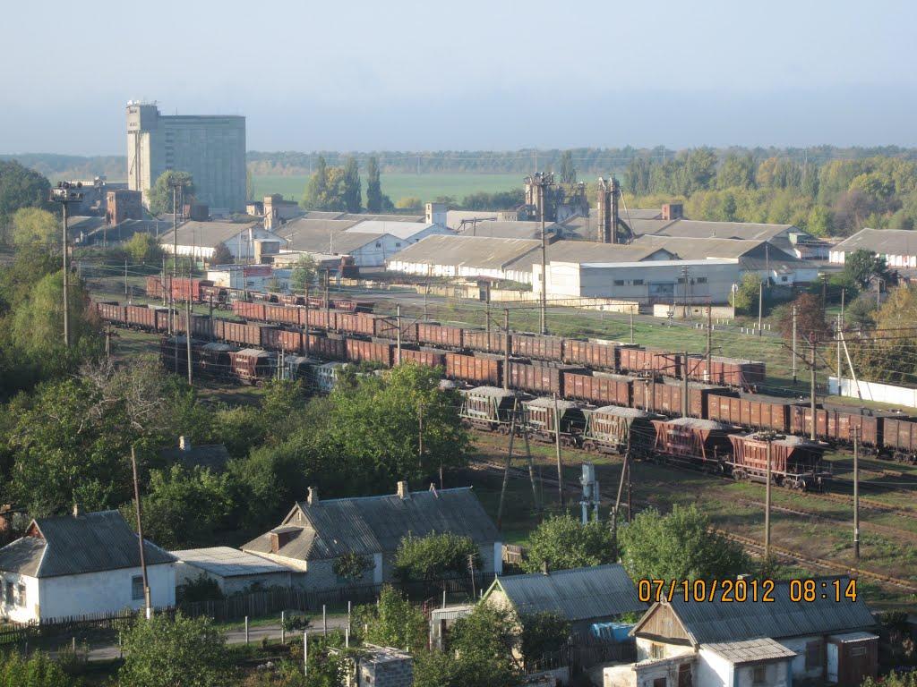 Ольгинка з panoramio.com - Ольгинка