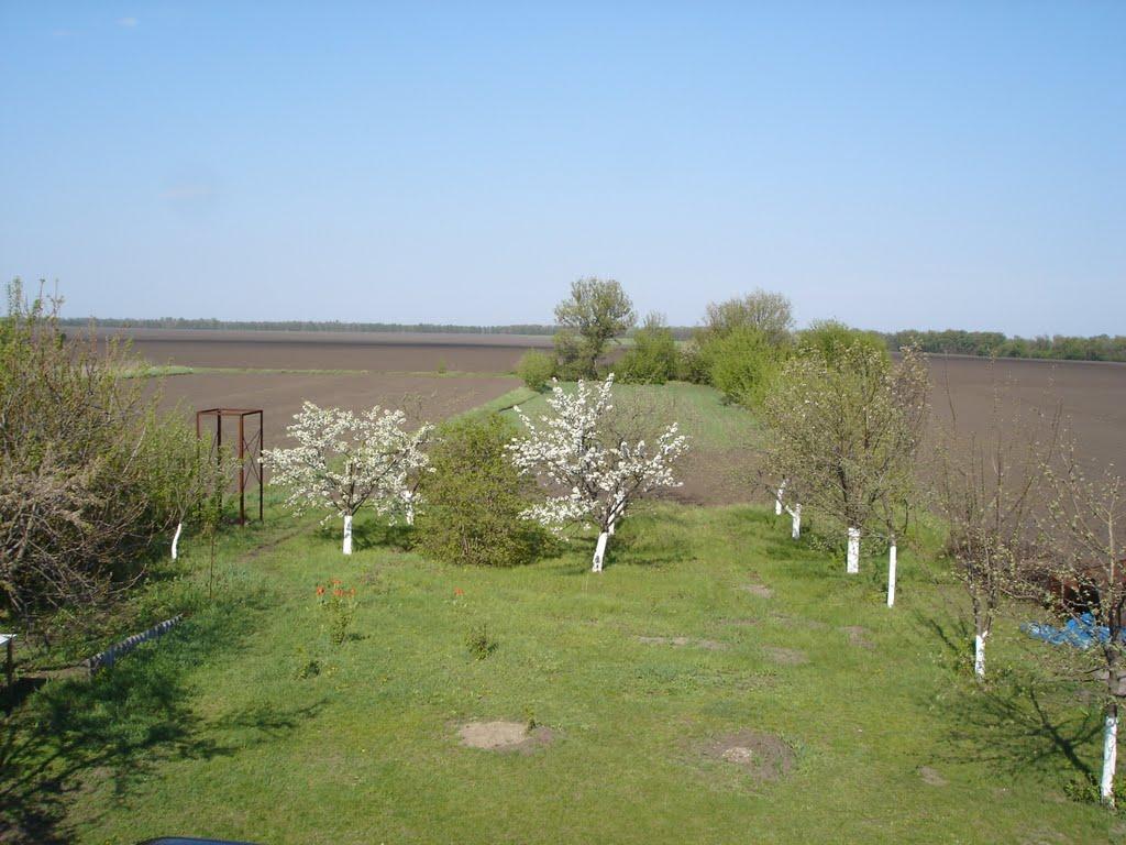 Фролівка з panoramio.com - Фроловка