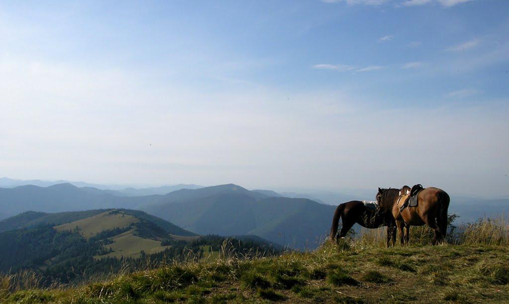 Коростів з panoramio.com - Коростів