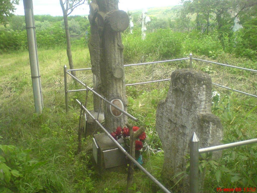 Велика Кісниця з panoramio.com - Велика Кісниця