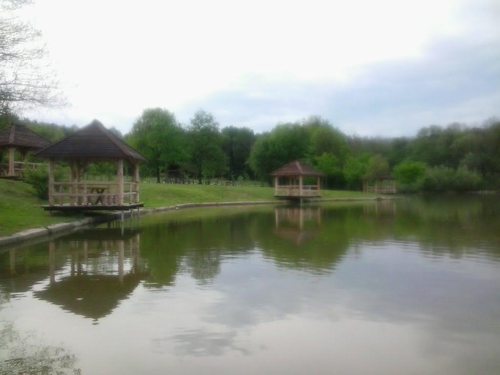 Старі Бросківці з panoramio.com - Старі Бросківці