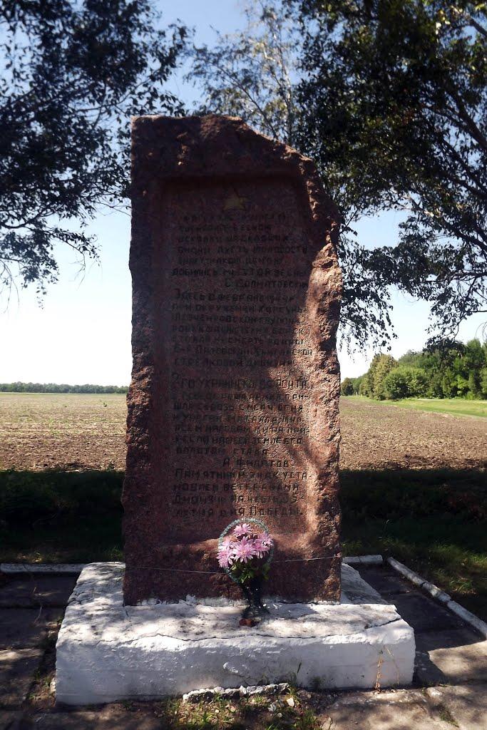Новомиргород з panoramio.com - Novomyrhorod