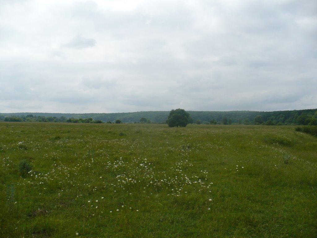 Бруслинів з panoramio.com - Бруслинів