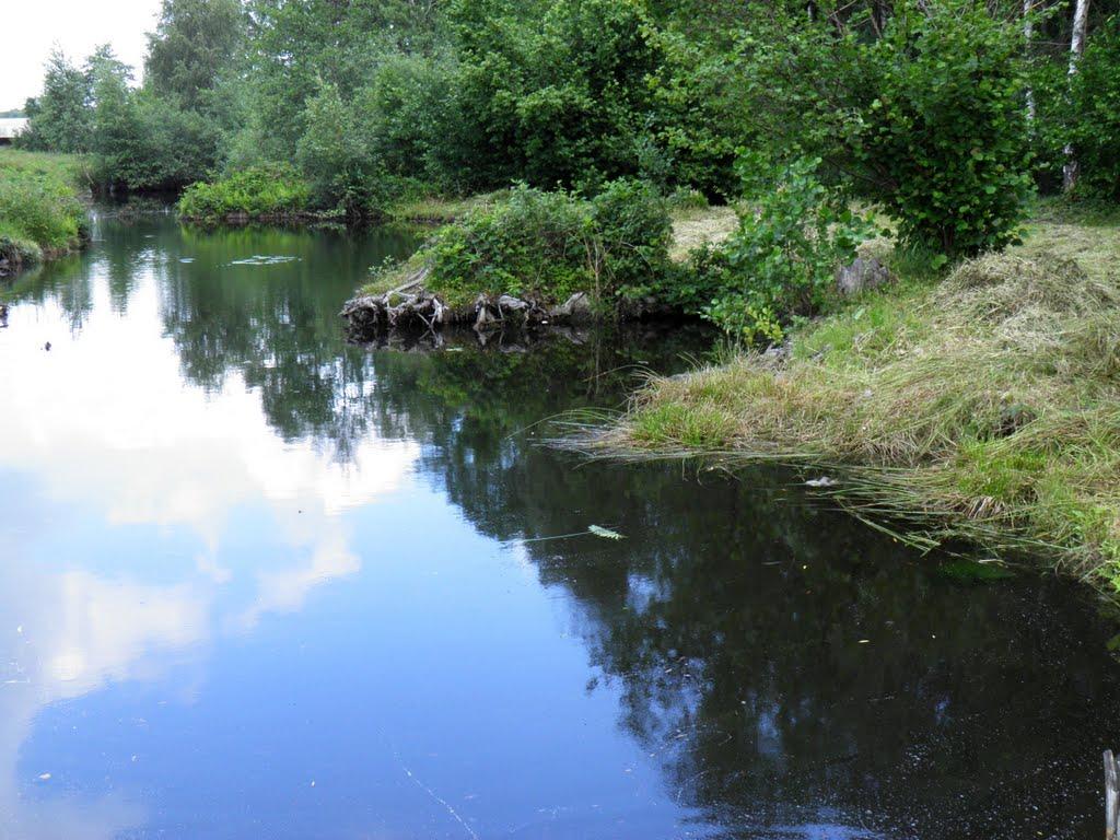 Маневичі з panoramio.com - Маневичи