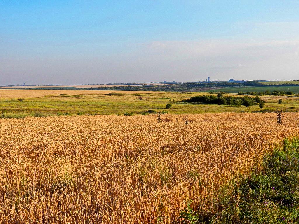 Верхня Кринка з panoramio.com - Верхня Кринка