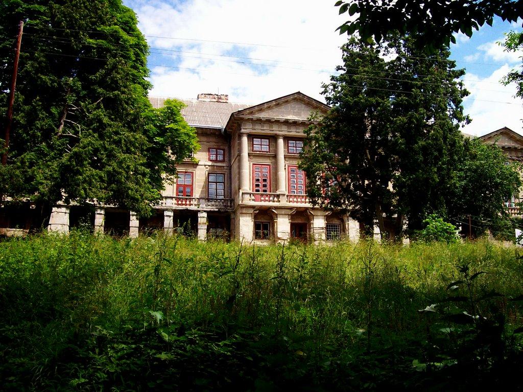 Олексієво-Дружківка з panoramio.com - Олексієво-Дружківка