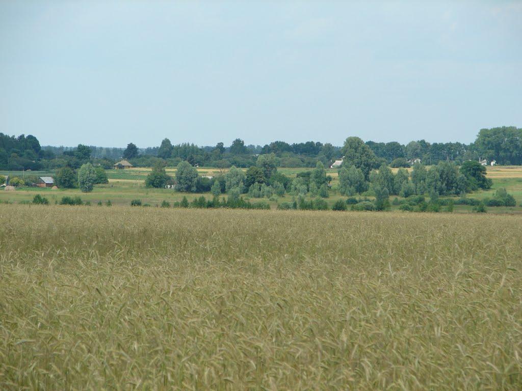 Льгівка з panoramio.com - Льговка