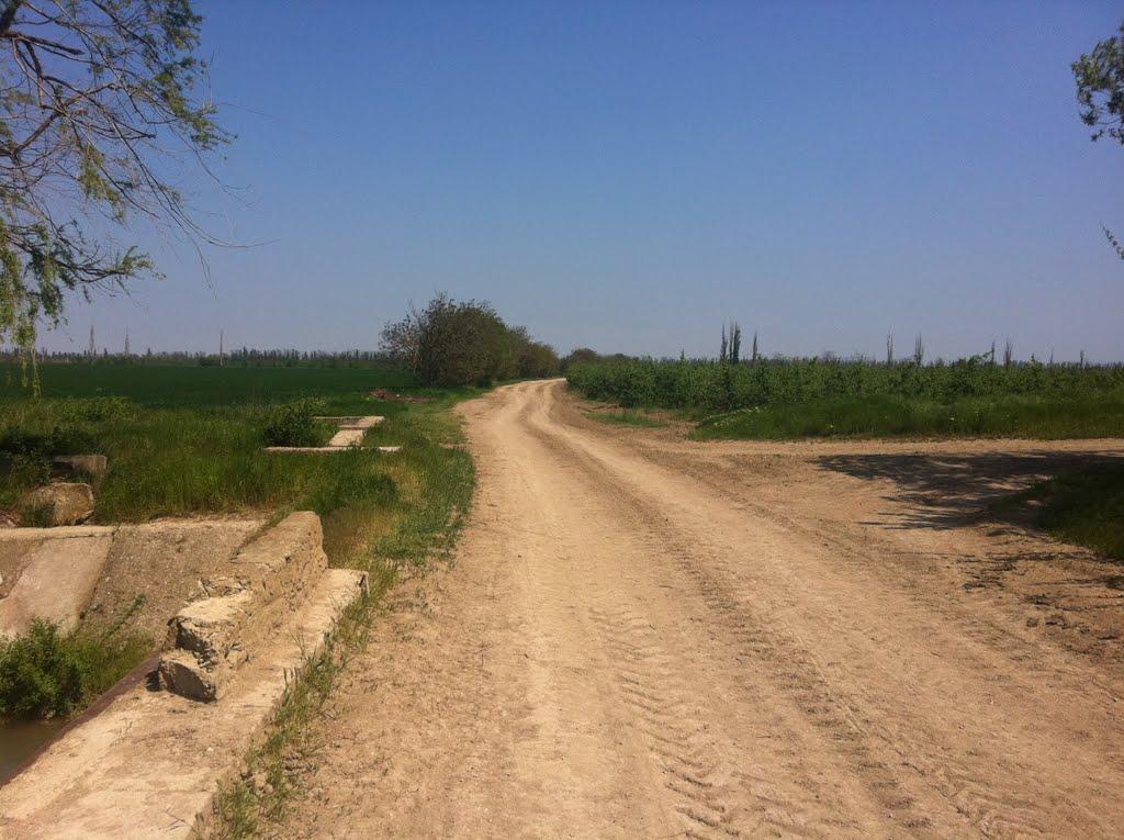 Жемчужина з panoramio.com - Жемчужина