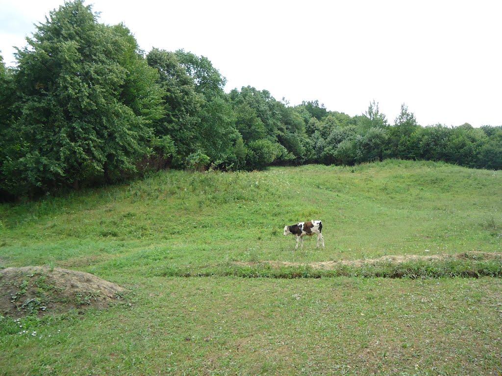 Дебеславці з panoramio.com - Дебеславці